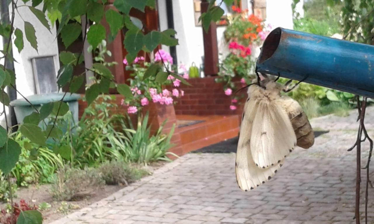 Pokoje Goscinne Aga Widuchowa Dış mekan fotoğraf