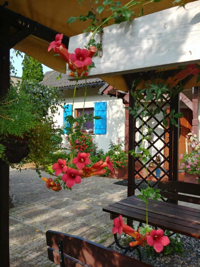 Pokoje Goscinne Aga Widuchowa Dış mekan fotoğraf